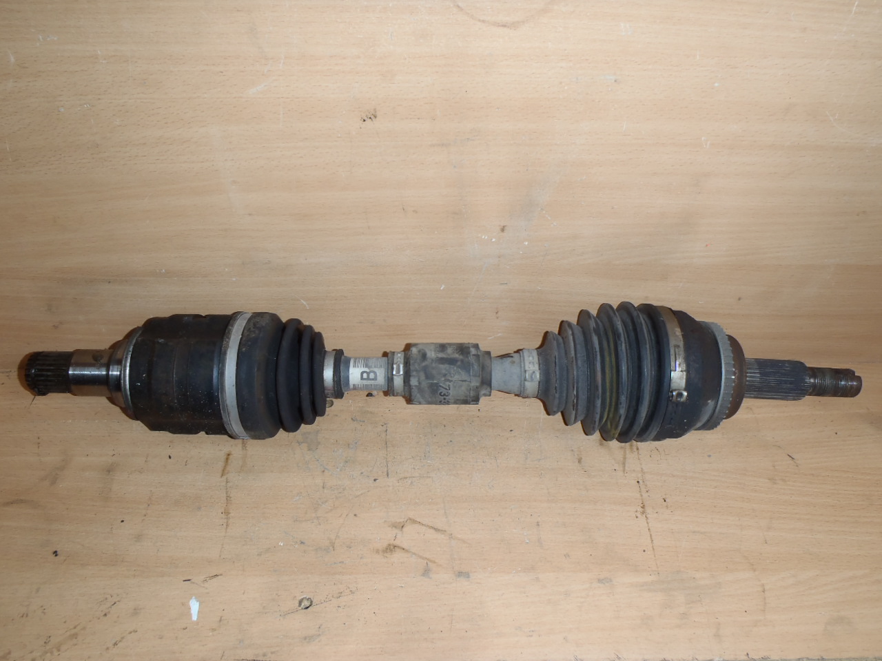 L. poloosa 2.2 D-CAT