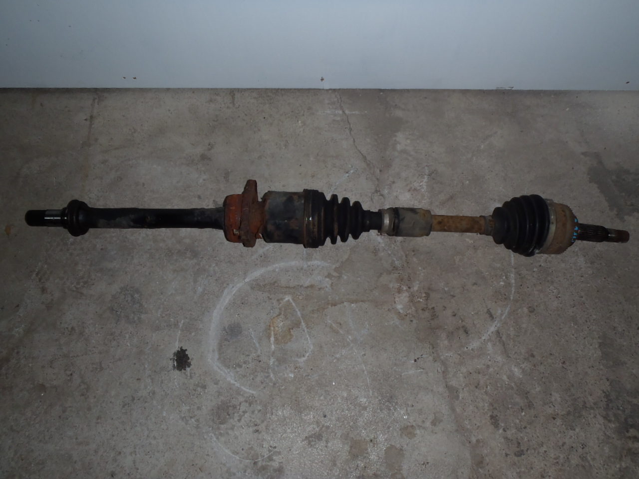 P. poloosa 1.8 VVT-i