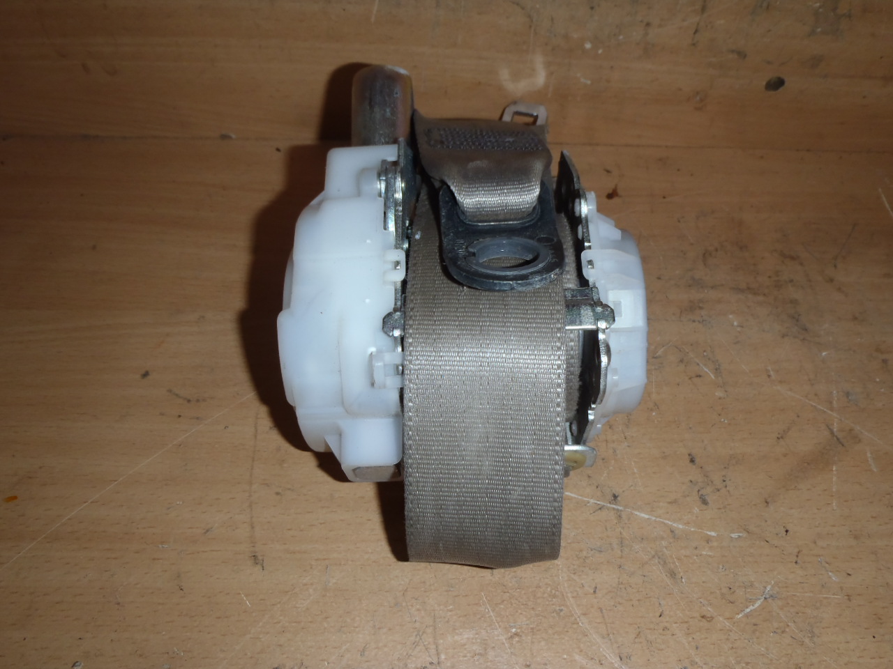 L.P Pyropás-světlý