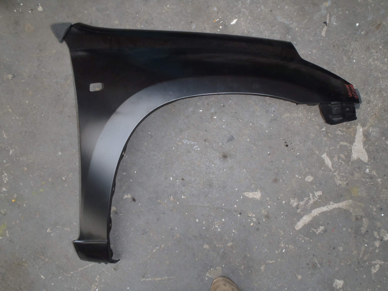 Blatník P. bez lemu