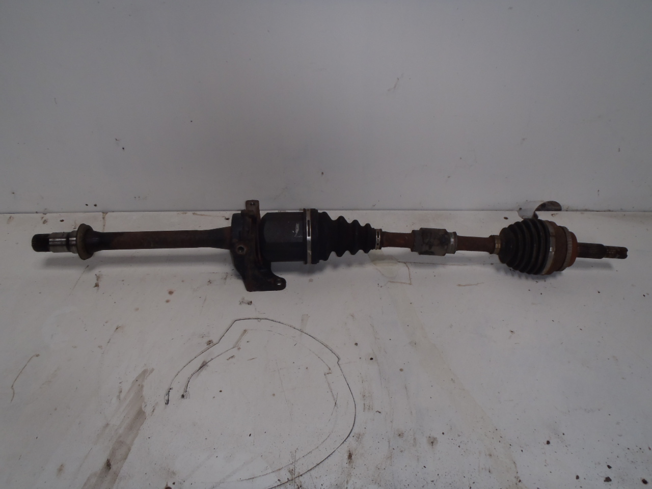 P. poloosa 2.4 VVT-i