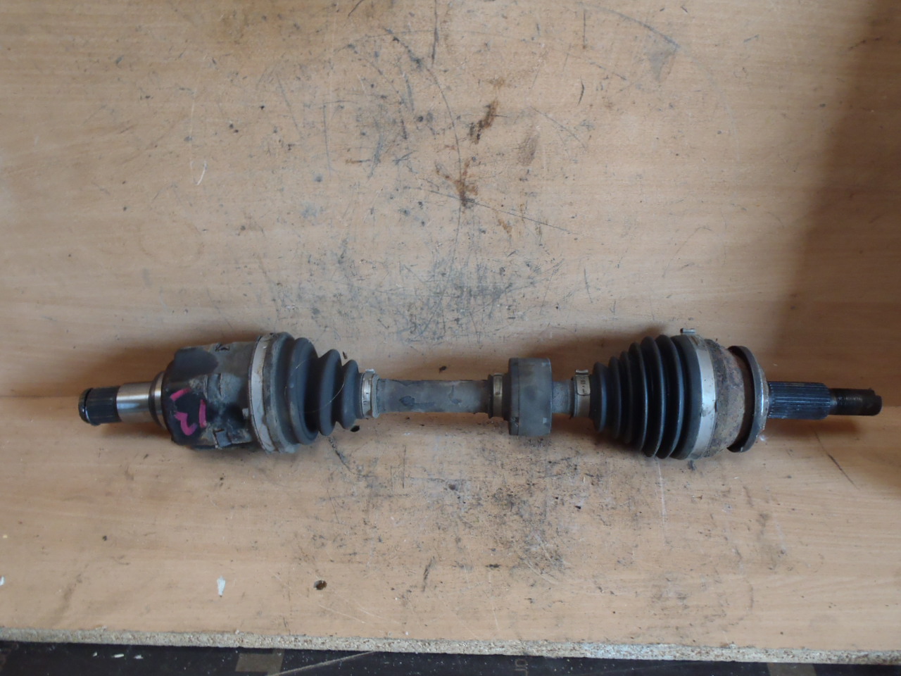 L. poloosa 2.2 D-CAT