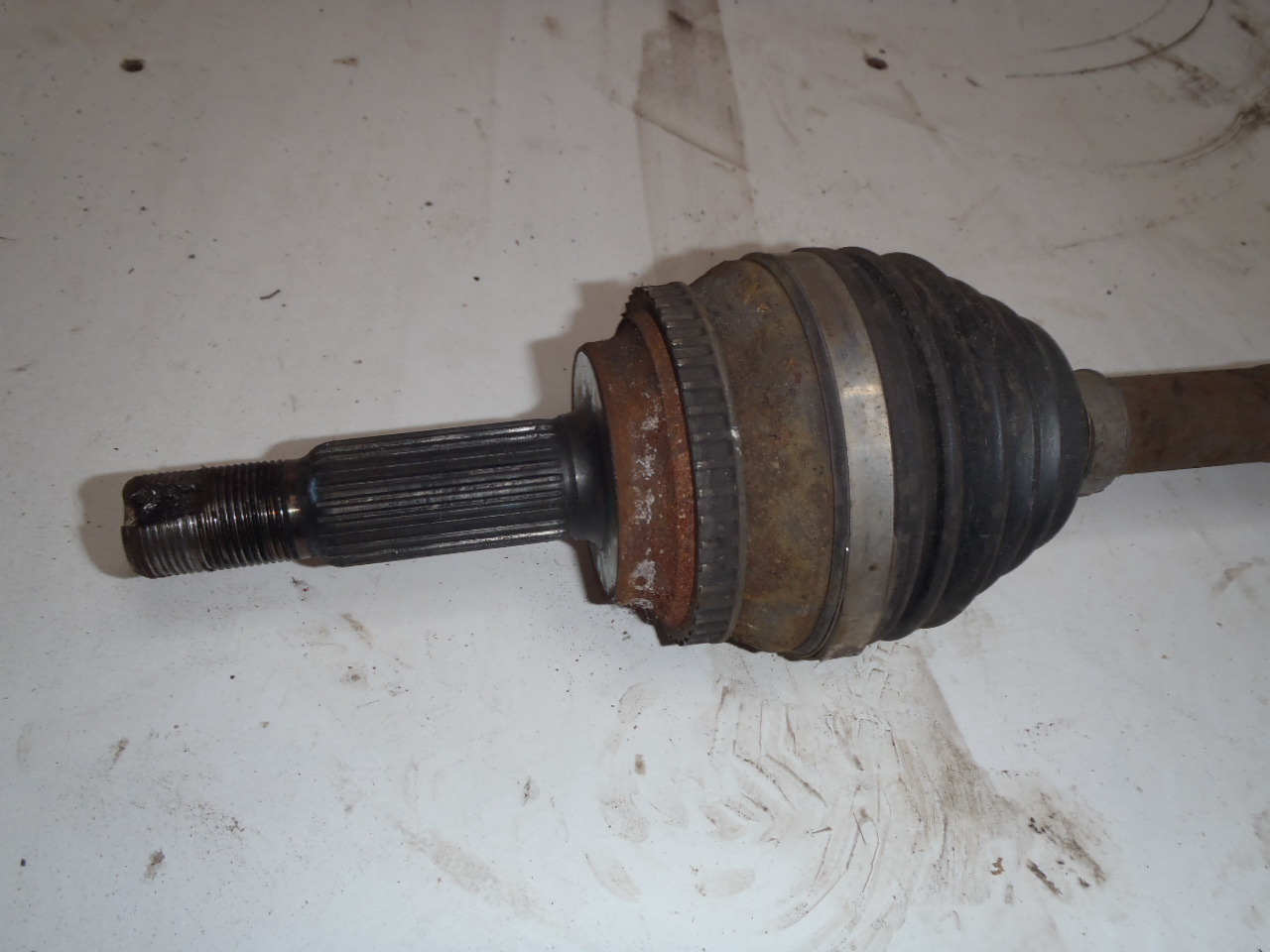 P. poloosa 1.4 VVT-i