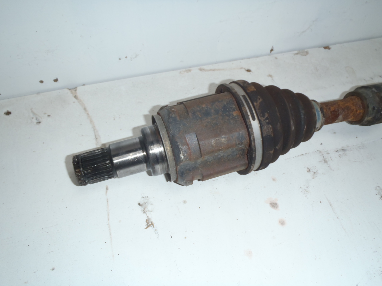L. poloosa 2.4 VVT-i