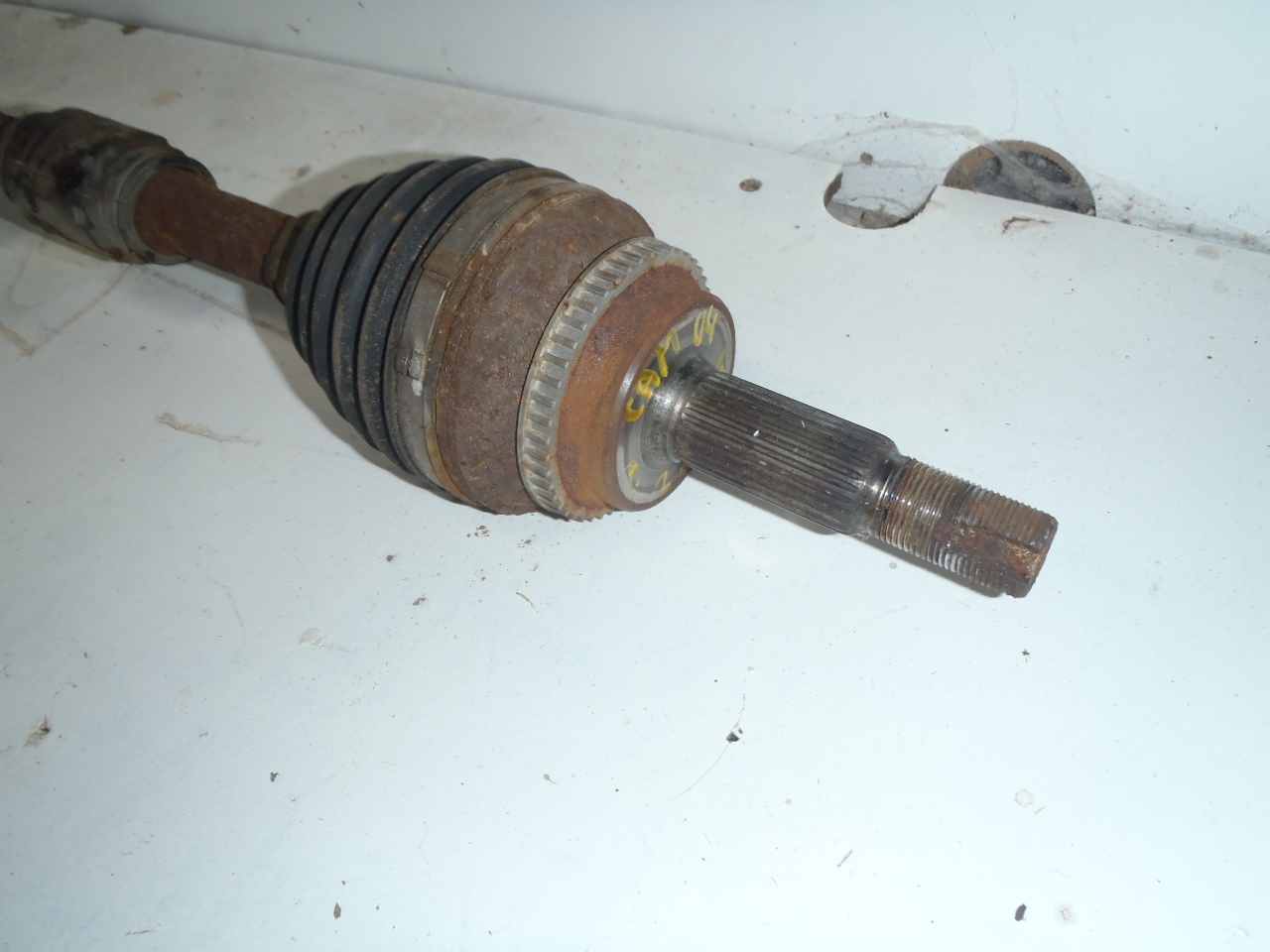 P. poloosa 2.4 VVT-i