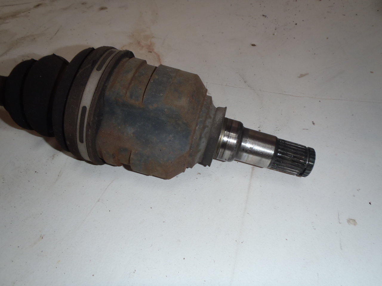 P. poloosa 1.4 VVT-i
