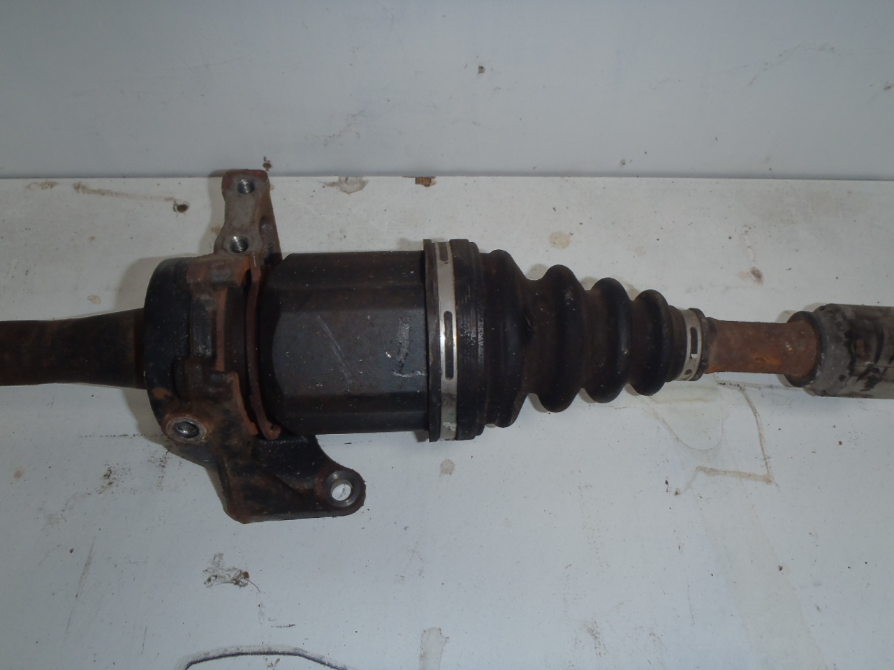 P. poloosa 2.4 VVT-i