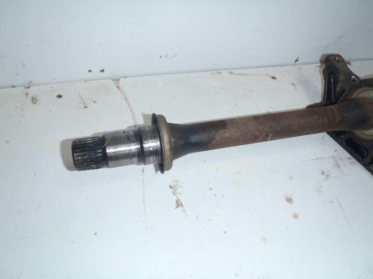 P. poloosa 2.4 VVT-i