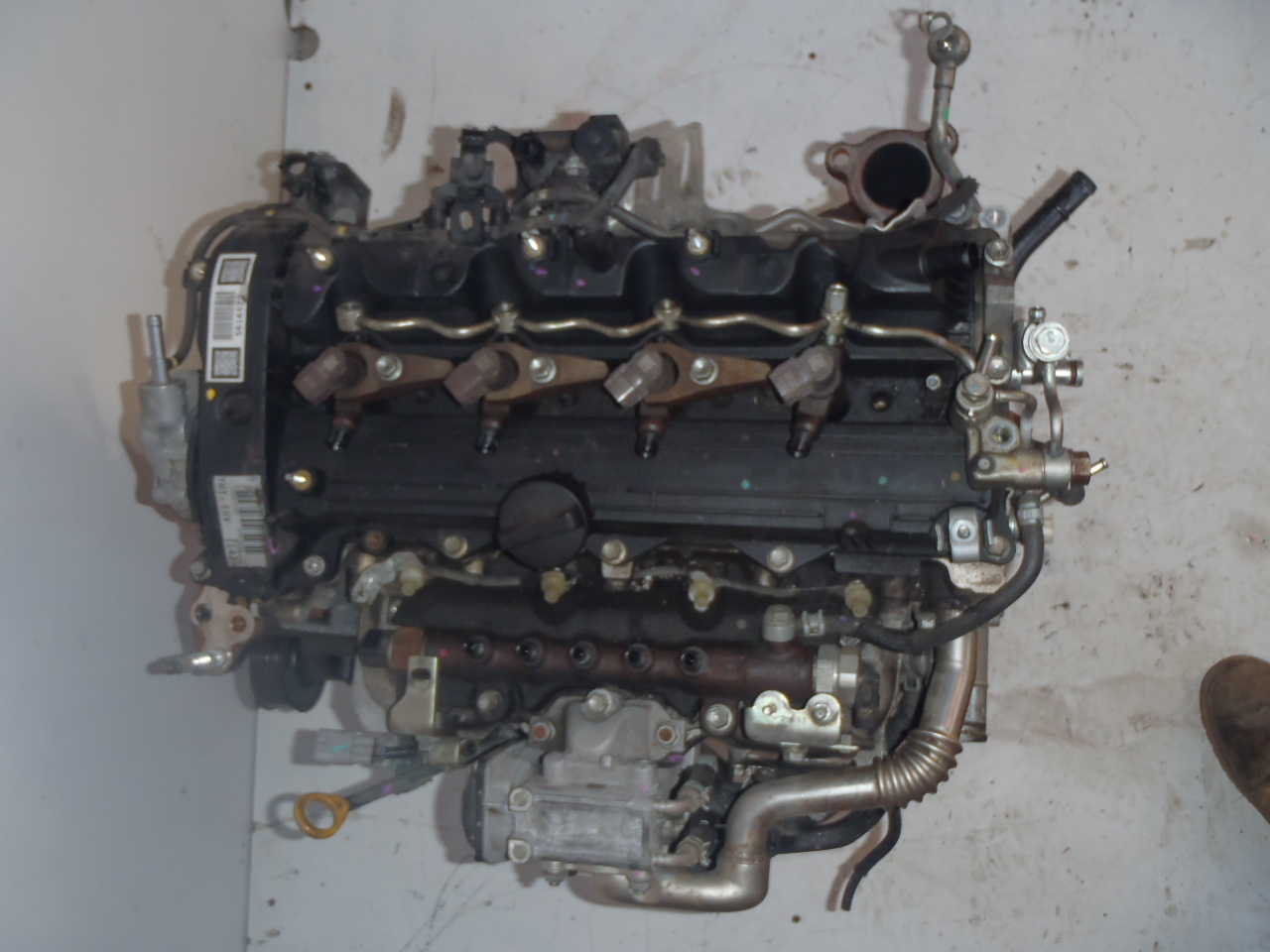 Motor 2.2 D-CAT 130 kW kod 2AD