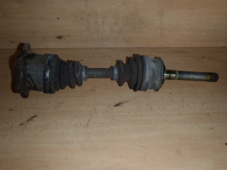 Poloosa P.