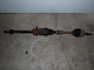 P. poloosa 1.8 VVT-i