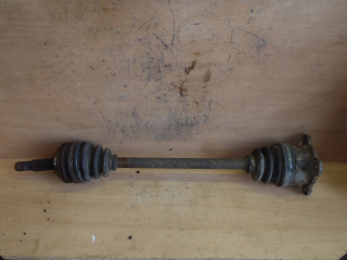 L.Z poloosa